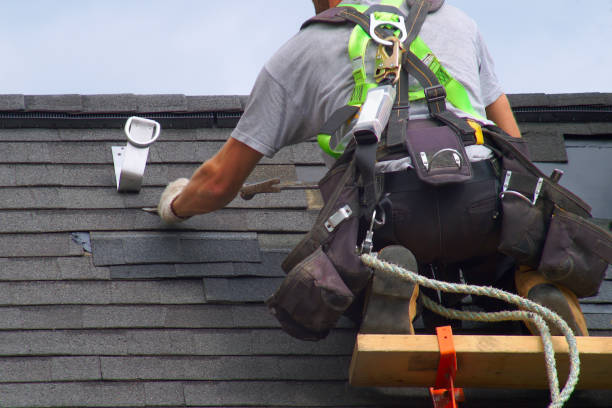 Best Gutter Installation and Roofing  in Lake Hallie, WI