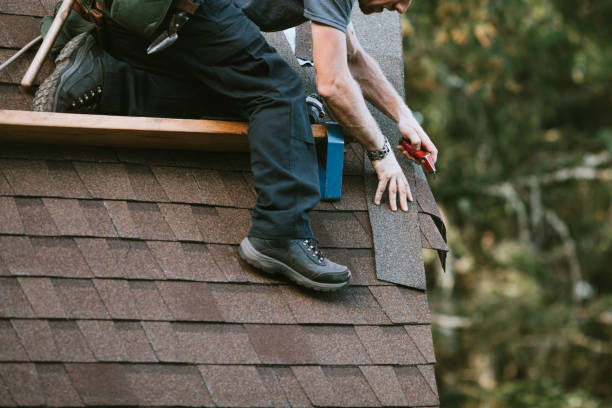 Best Metal Roofing Contractor  in Lake Hallie, WI