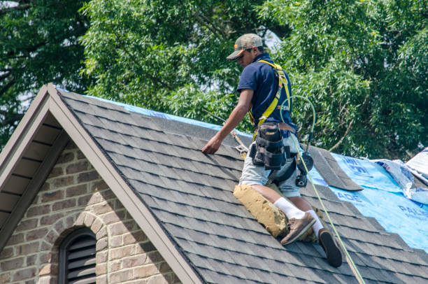 Best Shingle Roofing Installation  in Lake Hallie, WI